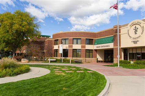 Csu vth - Colorado State University CVMBS-VTH, Clinical Sciences 300 West Drake Road Ft. Collins, CO 80523 Paul.Cuddon@colostate.edu. Dr. Patricia J. Luttgen …